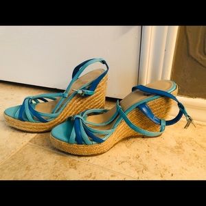 Blue Wedges